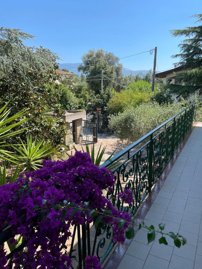 Agriturismo Al Gallo Verde Altavilla Silentina エクステリア 写真