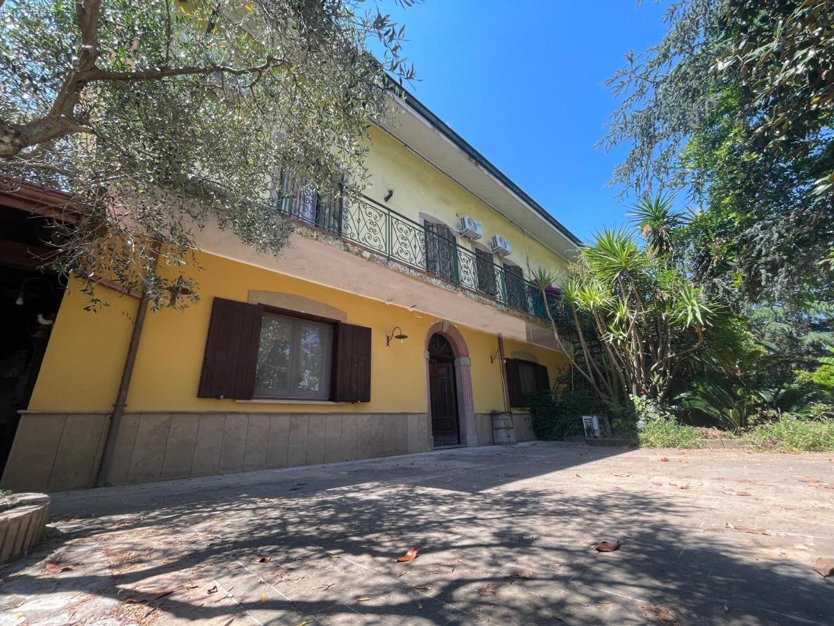 Agriturismo Al Gallo Verde Altavilla Silentina エクステリア 写真